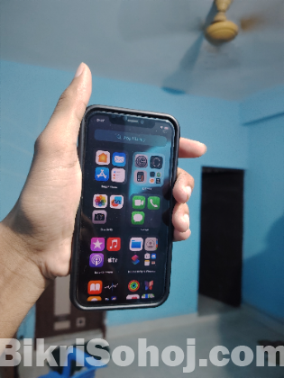 Iphone 11 pro